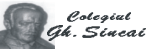 Colegiul National "Gheorghe Sincai" Baia Mare