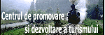Turism in zona Viseu
